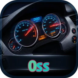 0ss